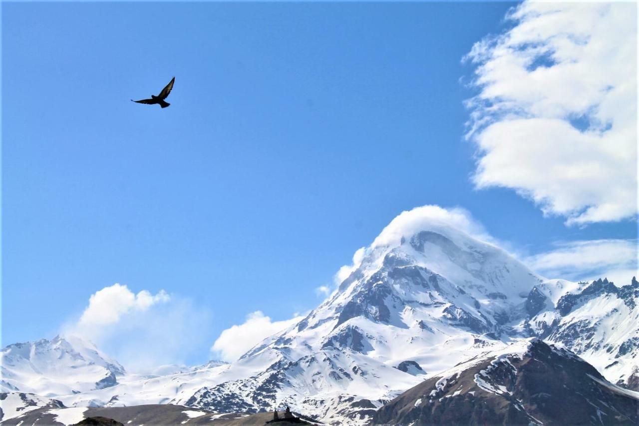 Hotel Noa Kazbegi 외부 사진